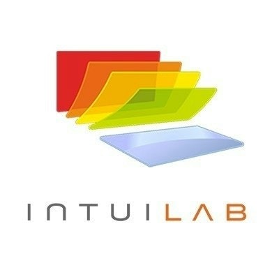 The IntuiLab Team