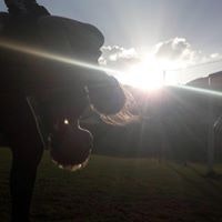 Gjurgjica Trajkovska