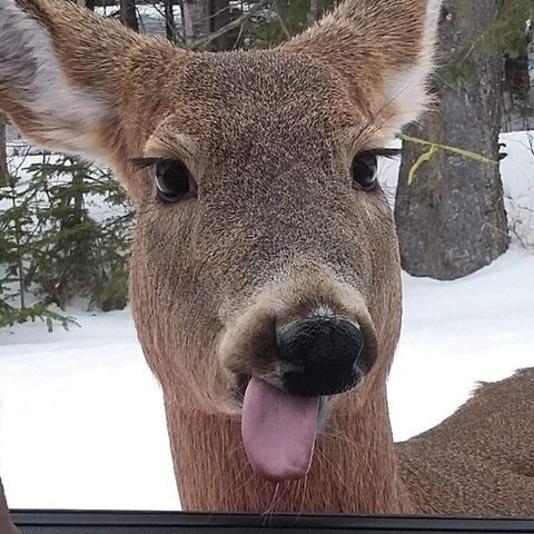 Мосеченко Лёня