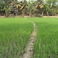 Lawone Lawone Lawone