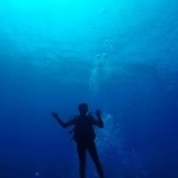 Vighna Rajesh Karyampudi