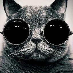 Domokos Brúnó Kukár