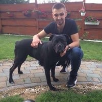 Тарас Гайошко