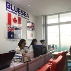 Du học Bluesea