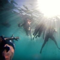 Cameron J Montgomery