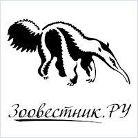 ЗооВестник