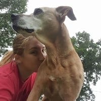 Taylor L C Bartolomucci