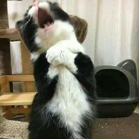 Nguyễn Hữu Lộc