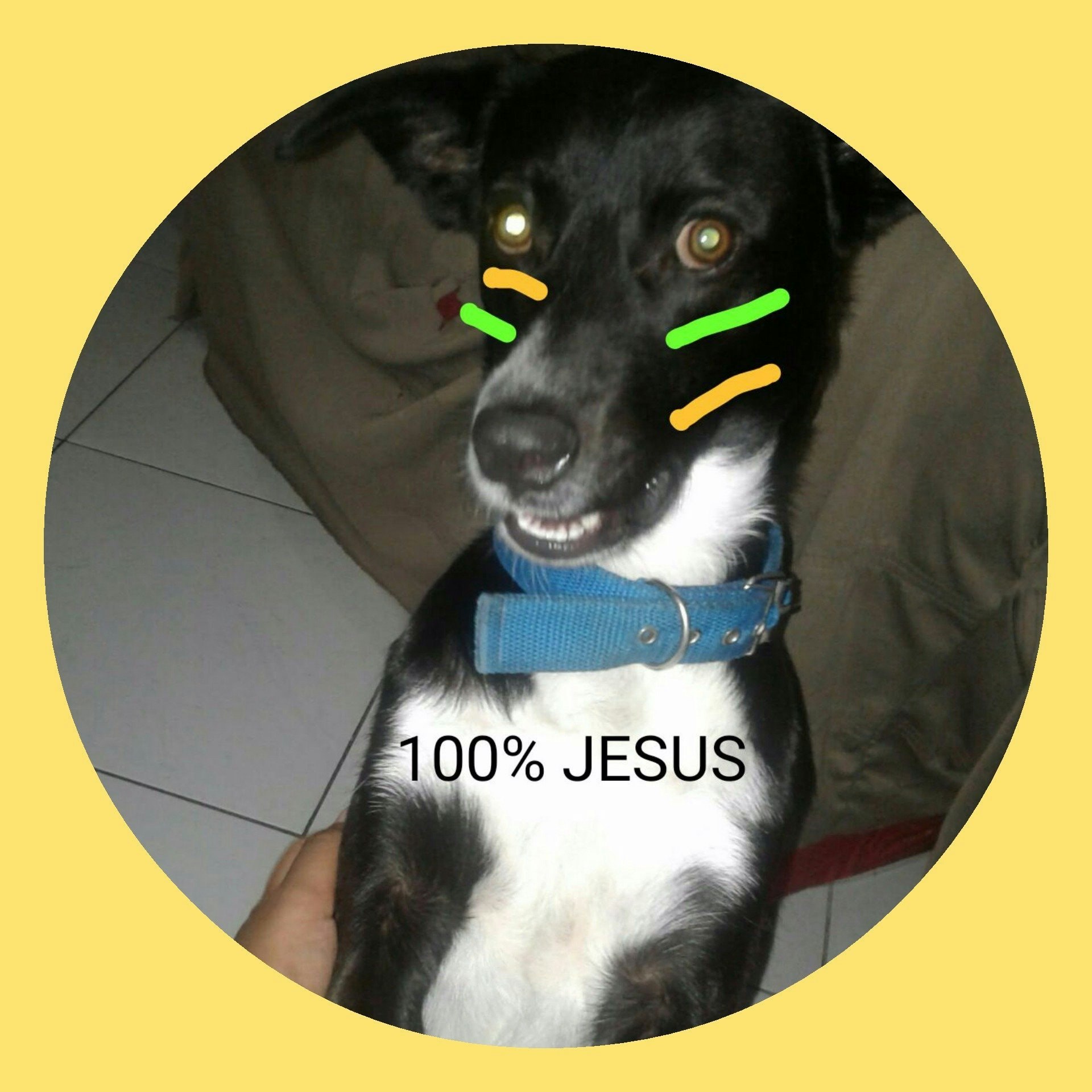 maia 🇧🇷🇧🇷 VAMO BR