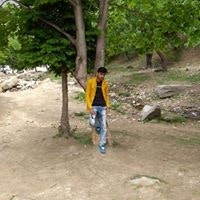 उपेन्द्र पाण्डेय