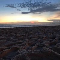 Gabriela Verri De Faria