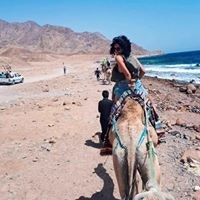 Արսինե Ղարիբխանյան