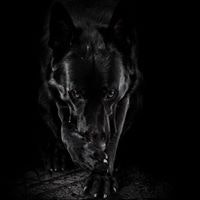 Саргис Григорян