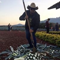 N Ricardo Cobian Amezquita