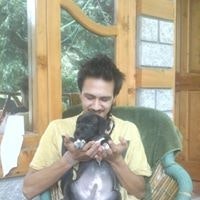 Crrash Manu OverRide