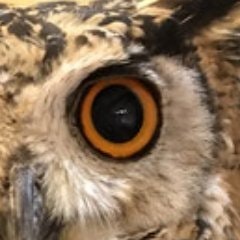 ピポポTAS@イヴサンタクロースP