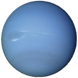 Alan // Neptunius ♥