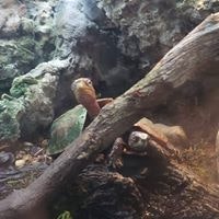 Angela Nichole Horner