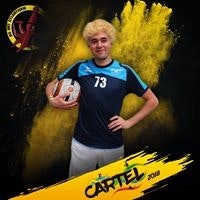 Henri Imt'estructibles Spies