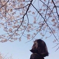 Vũ Thị Hồng Sen