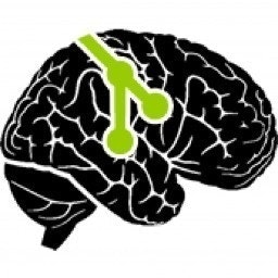 Brainrepo.com
