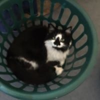 Kimberly Ann Caffery