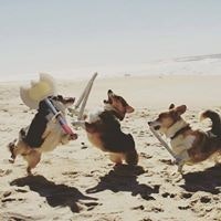 Santiago Pérez Clavier