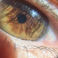 Andrés Chiodi Enrico