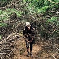 Robin Alexander Stiefel