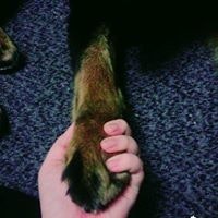 Виктория Евгеньевна Кукшева