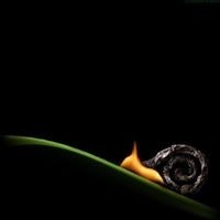 Кети Шандуловска