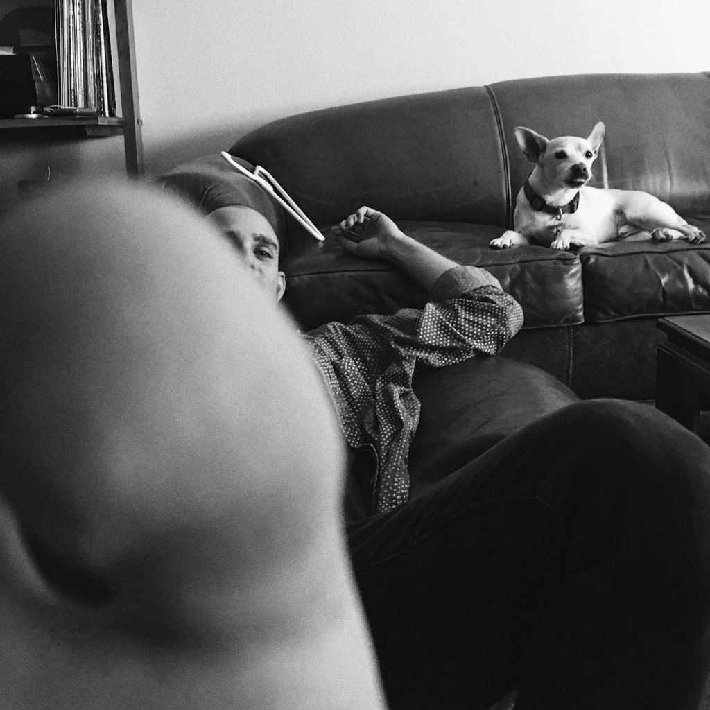 αℓєχ вяυησ