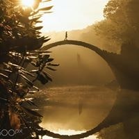 Елена Скосырева