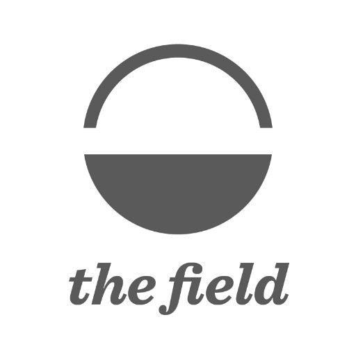 The Field Meditation