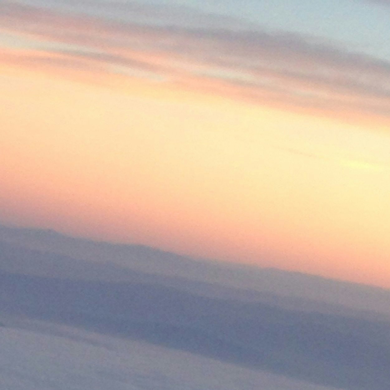 damacha's dream journal