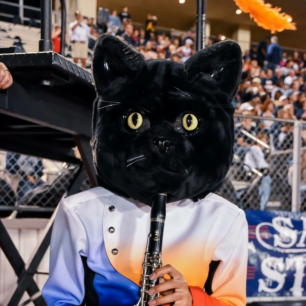 The Cat of Sachse | Qui Le