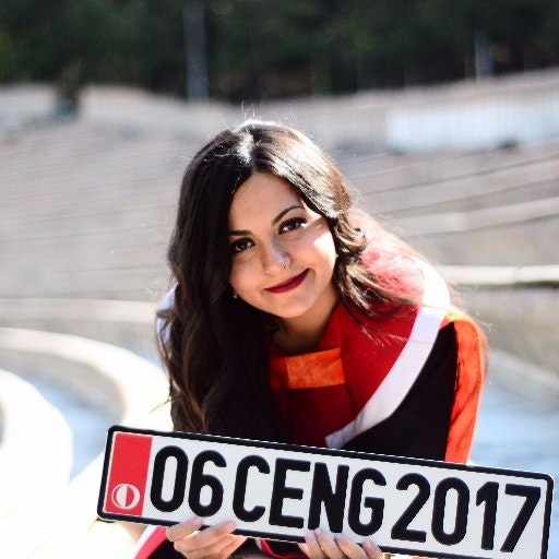 Zeynep Akkalyoncu Yilmaz