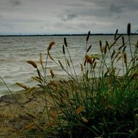 জীর্ণ ল্যাম্পপোস্ট