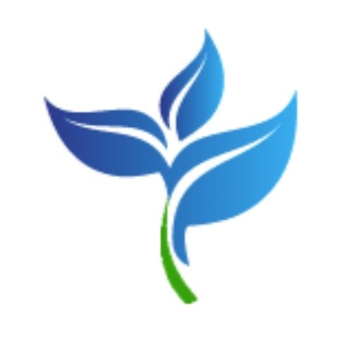 Bluevise - Startup Advisory