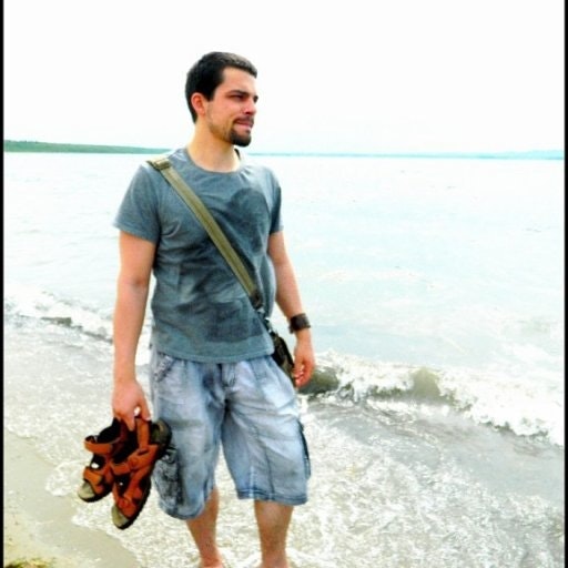 Михаил Гнёт