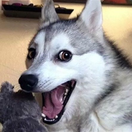 The Nightmare Returns