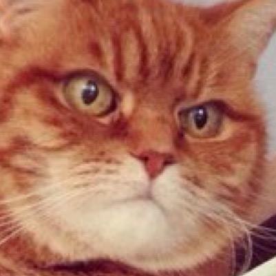 DanielWithoutsurname