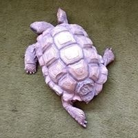 Álvaro Guzmán Parrochia