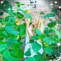 Christy Muehlich-Collier