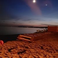 Cherie Lindner-Darco