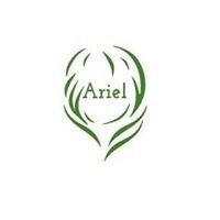 Ariel Mind
