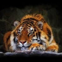 Лёня Яворский