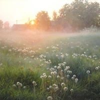 Виталий Пилипчук