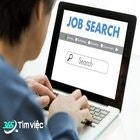 vieclam itpm365