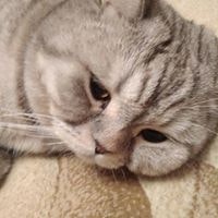 Timur  Gilyazetdinov